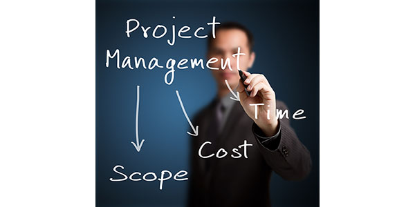 Beebold-Kies-voor-pragmatisch-projectmanagement
